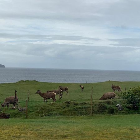 Coral Cabins Dunvegan  Room photo